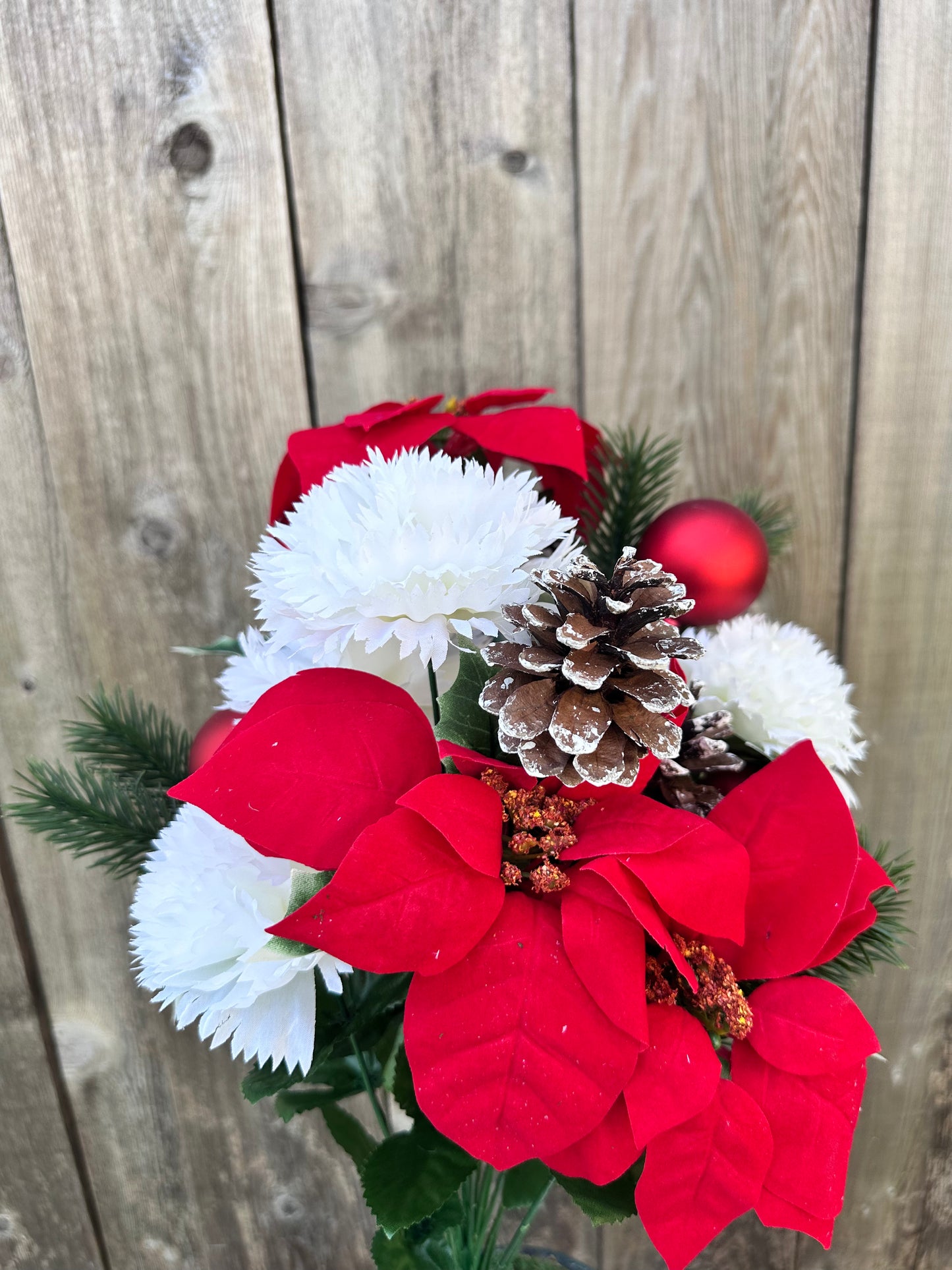 MIXED POINSETTIA 83585