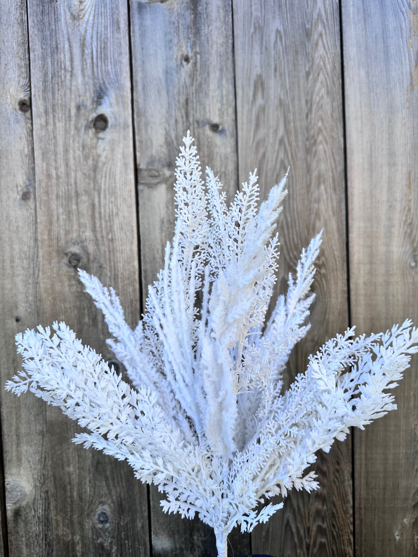 PAMPAS BUSH 40368