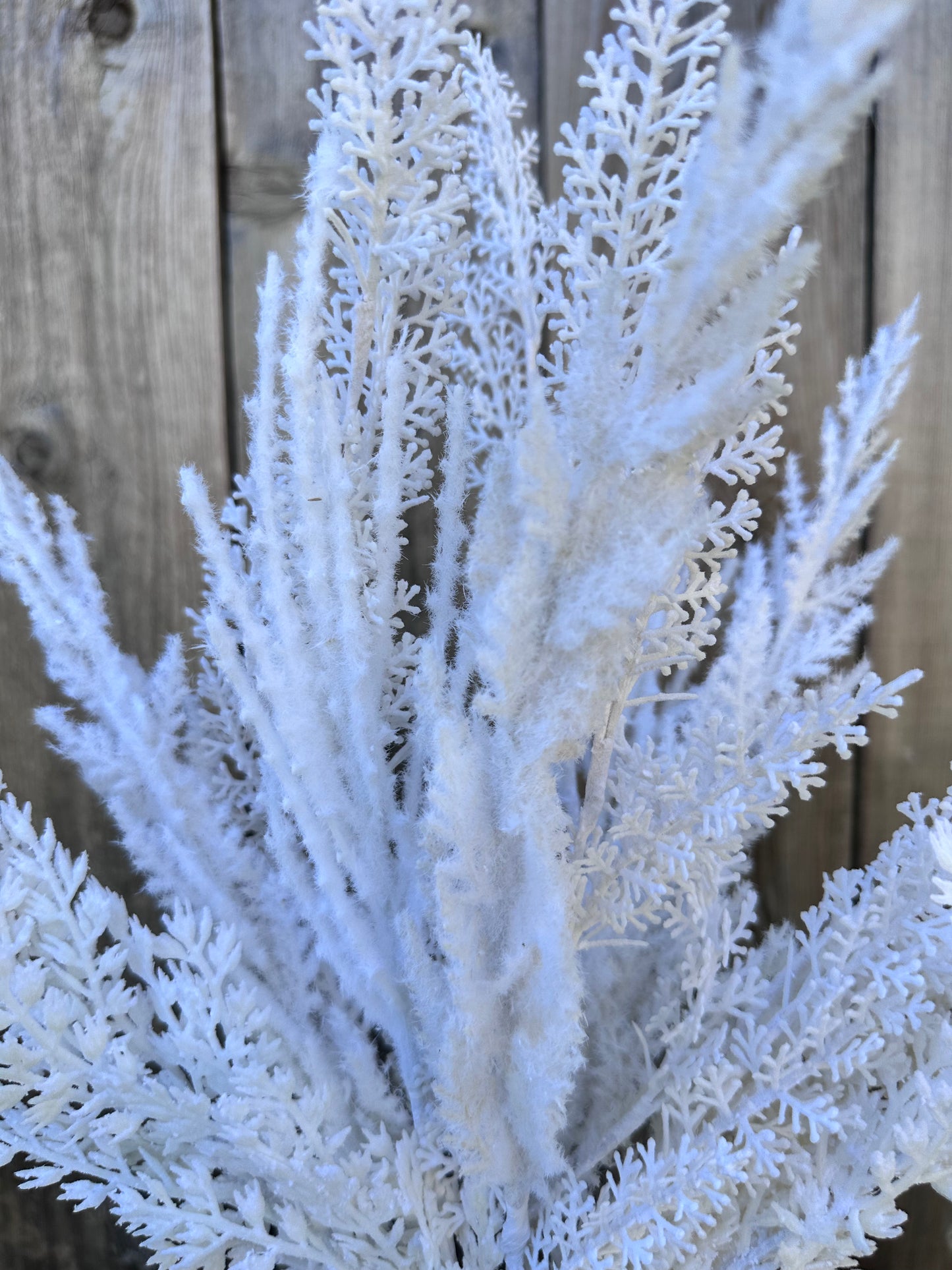 PAMPAS BUSH 40368
