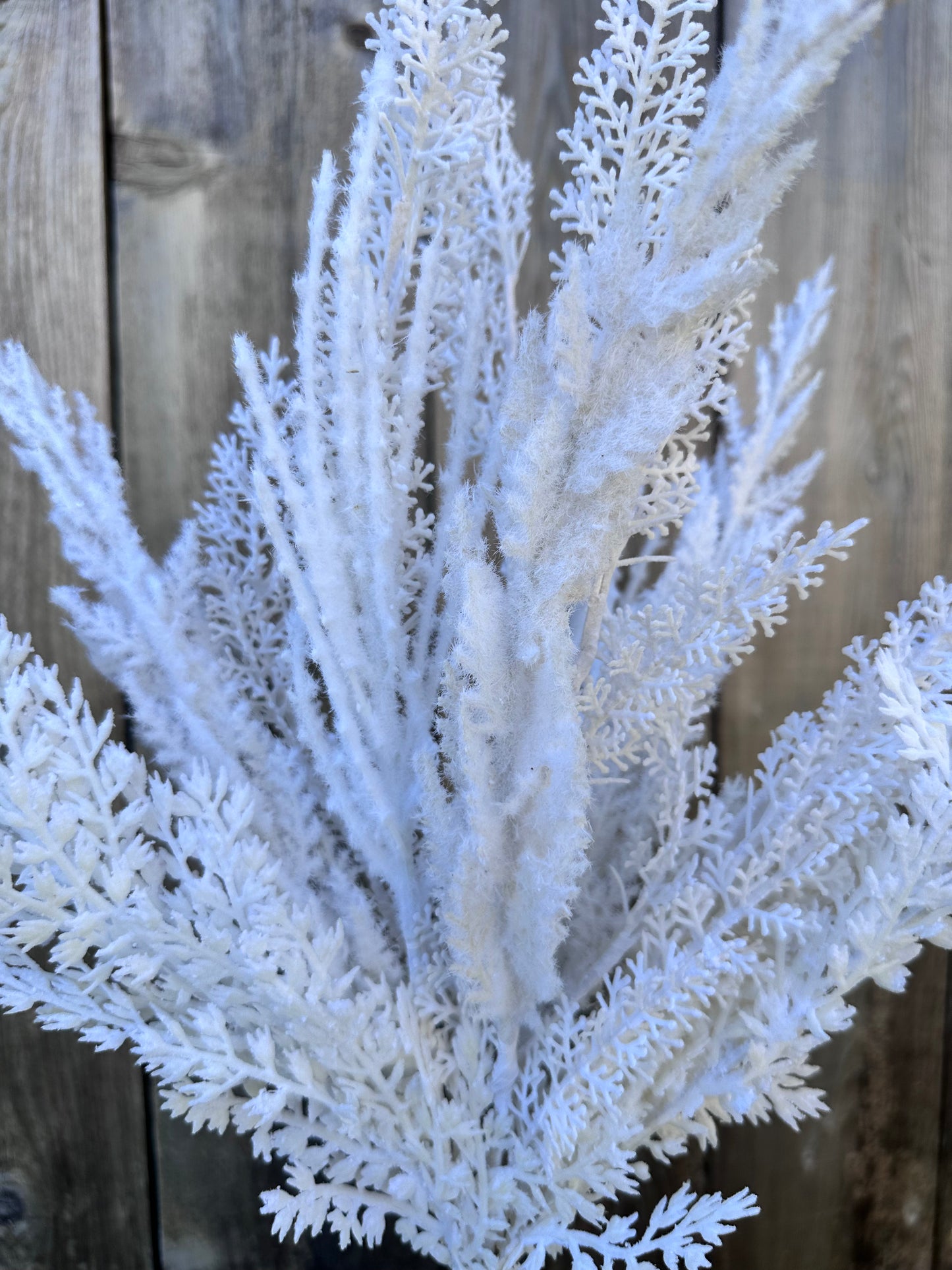 PAMPAS BUSH 40368