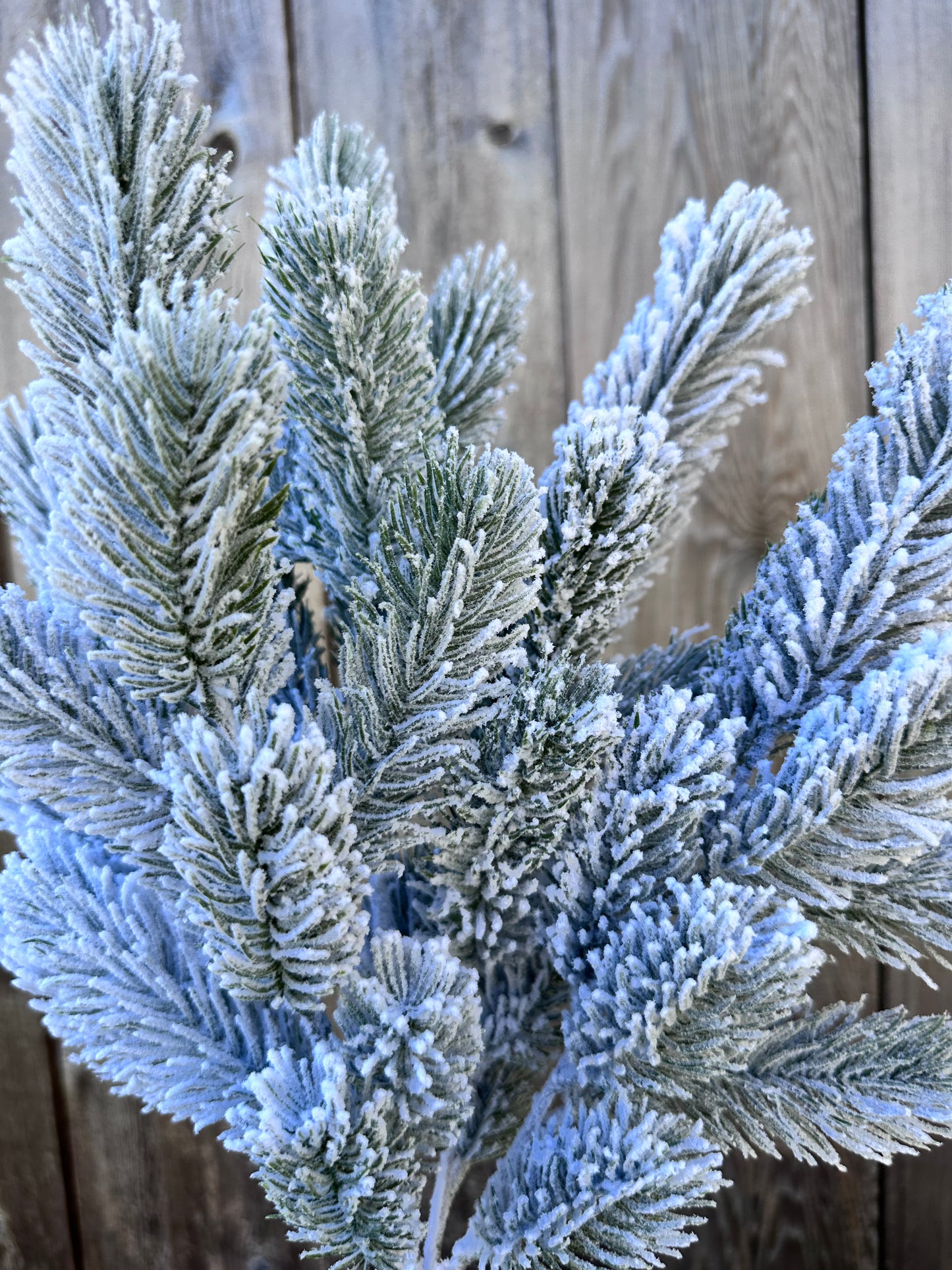 PINE BUSH W SNOW 83657