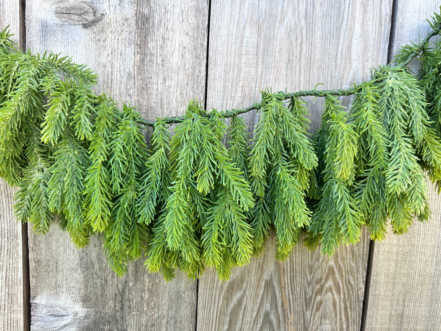 SOFT TOUCH NORFOLK PINE 23036