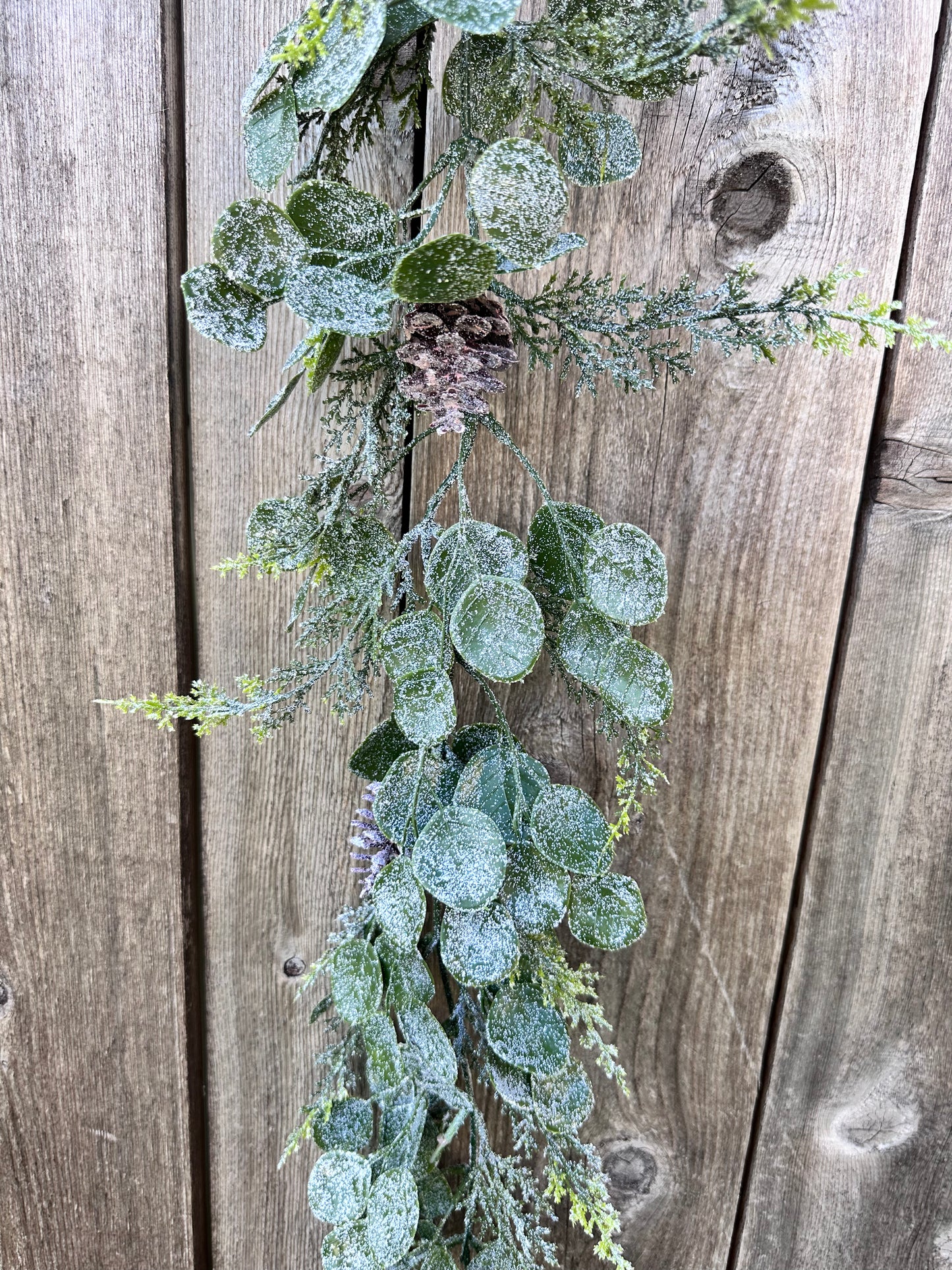 EUCALYPTUS CEDAR 83665
