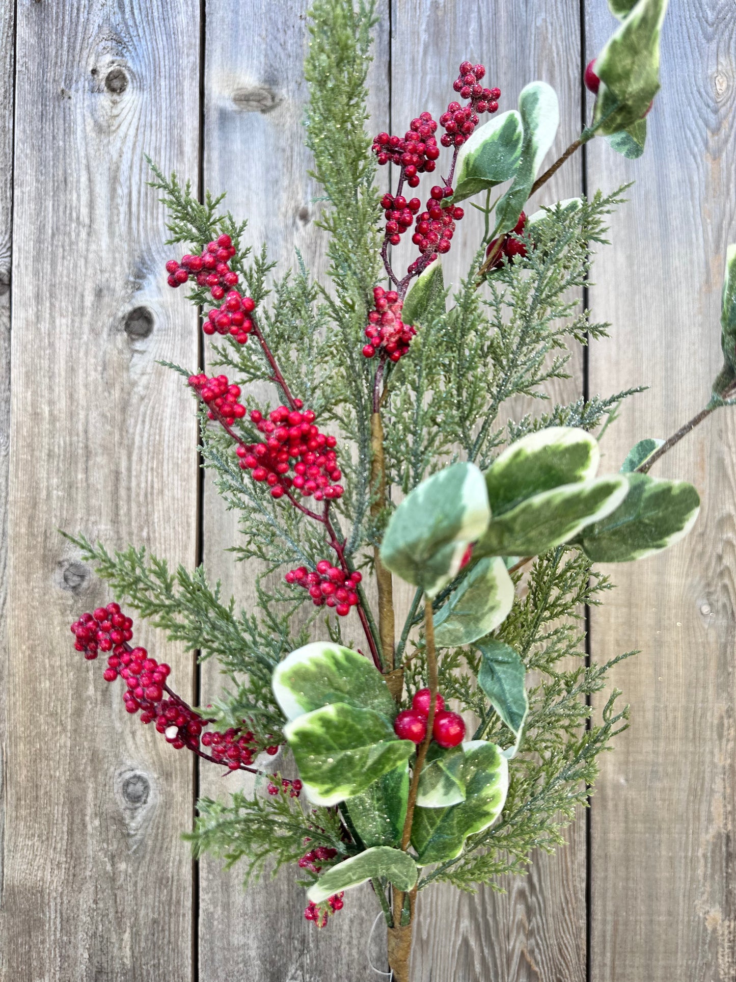WINTER FROST BERRY CEDAR SPRAY DCSP3643