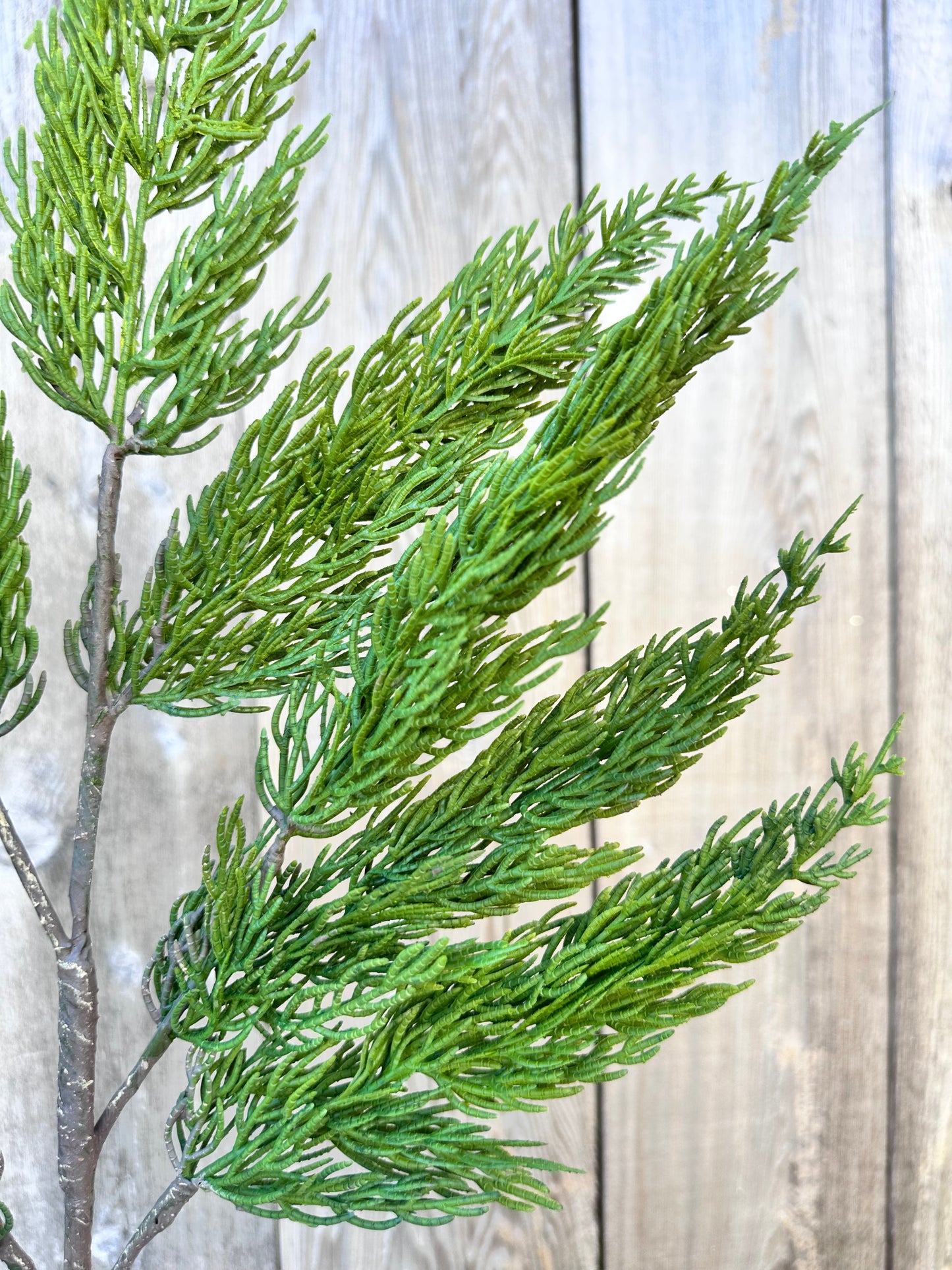 REAL TOUCH SOUTHERN CYPRESS SPRAY DC26748