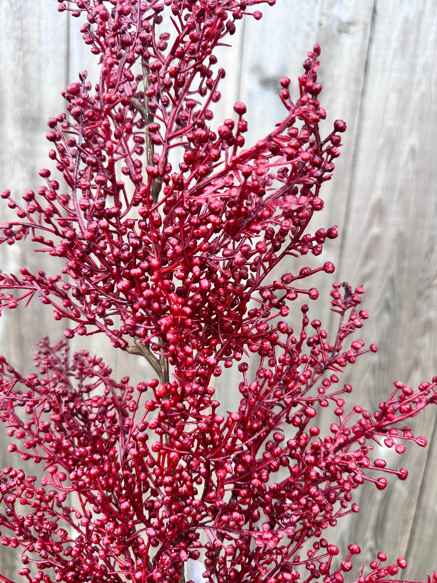 FRIVOLITY BERRY SPRAY XVP9704