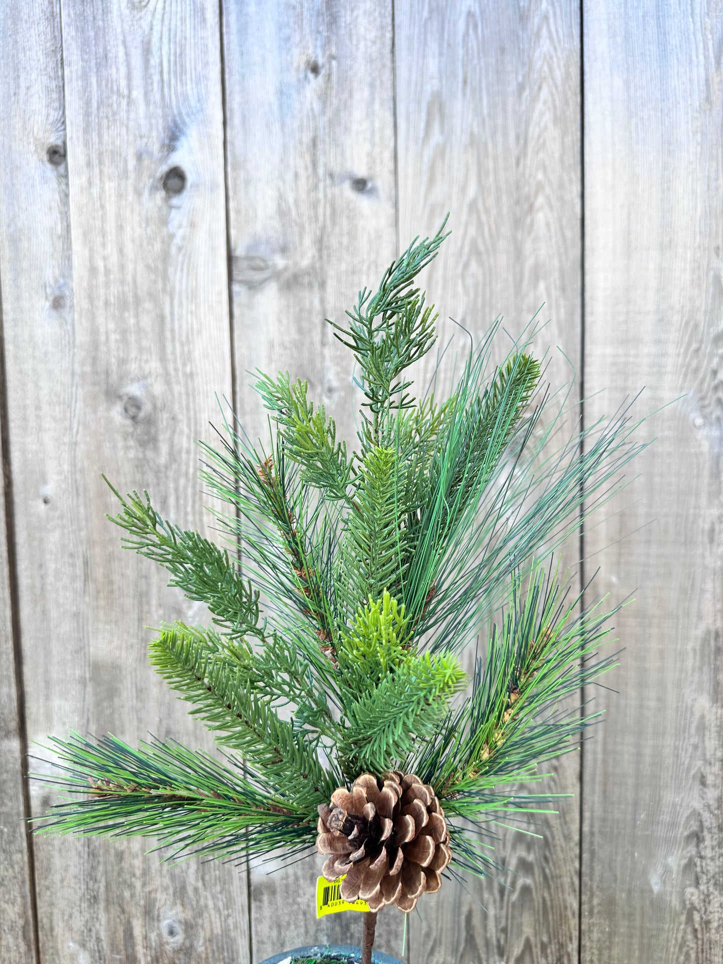 Austen Pine Pick H18 86167SP18