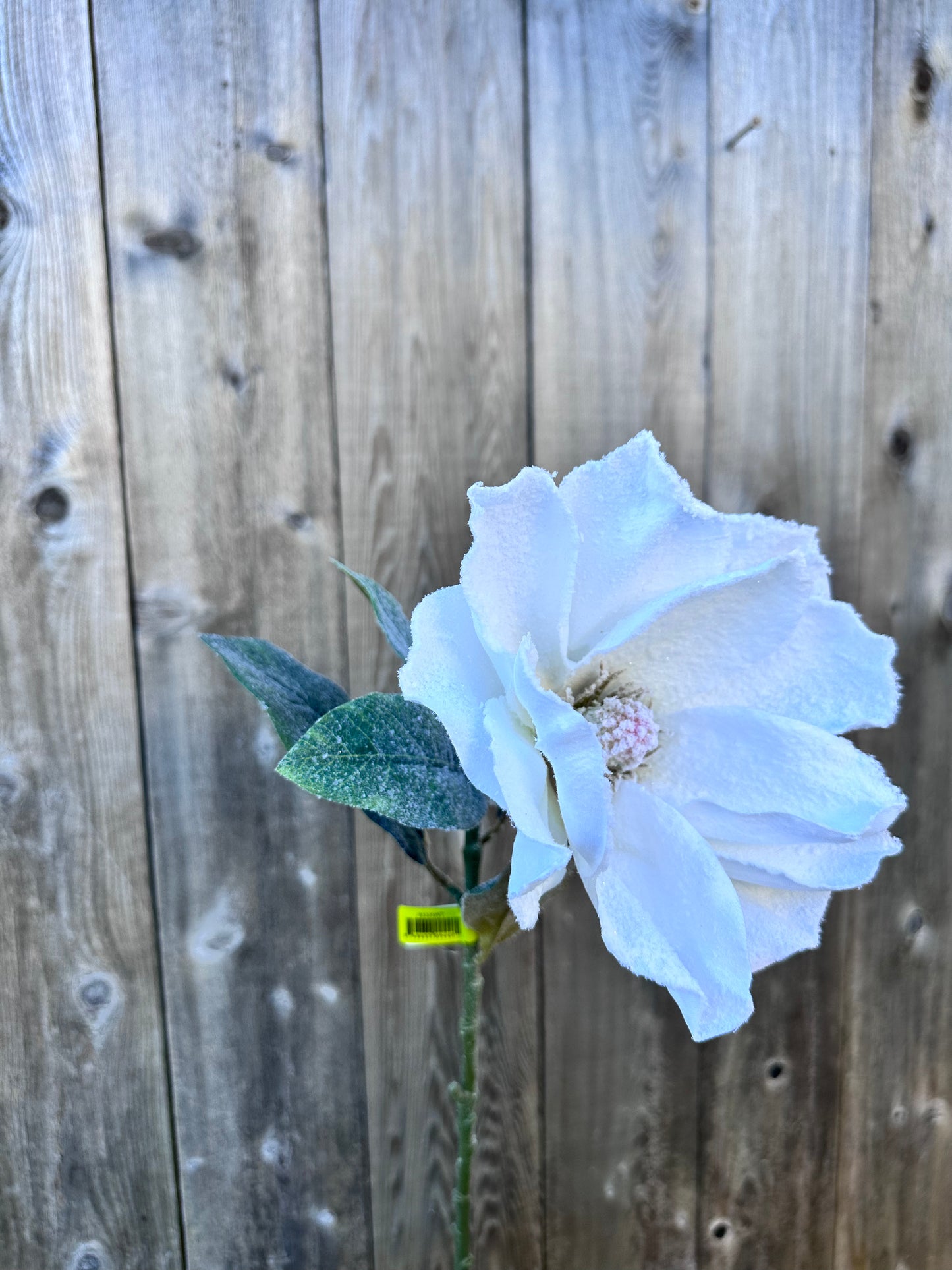 Snowy Magnolia Stem 83335WT