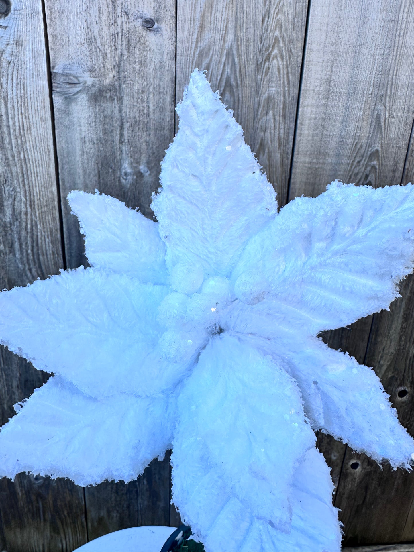 Poinsettia Pick H20xDIA11 86030WT