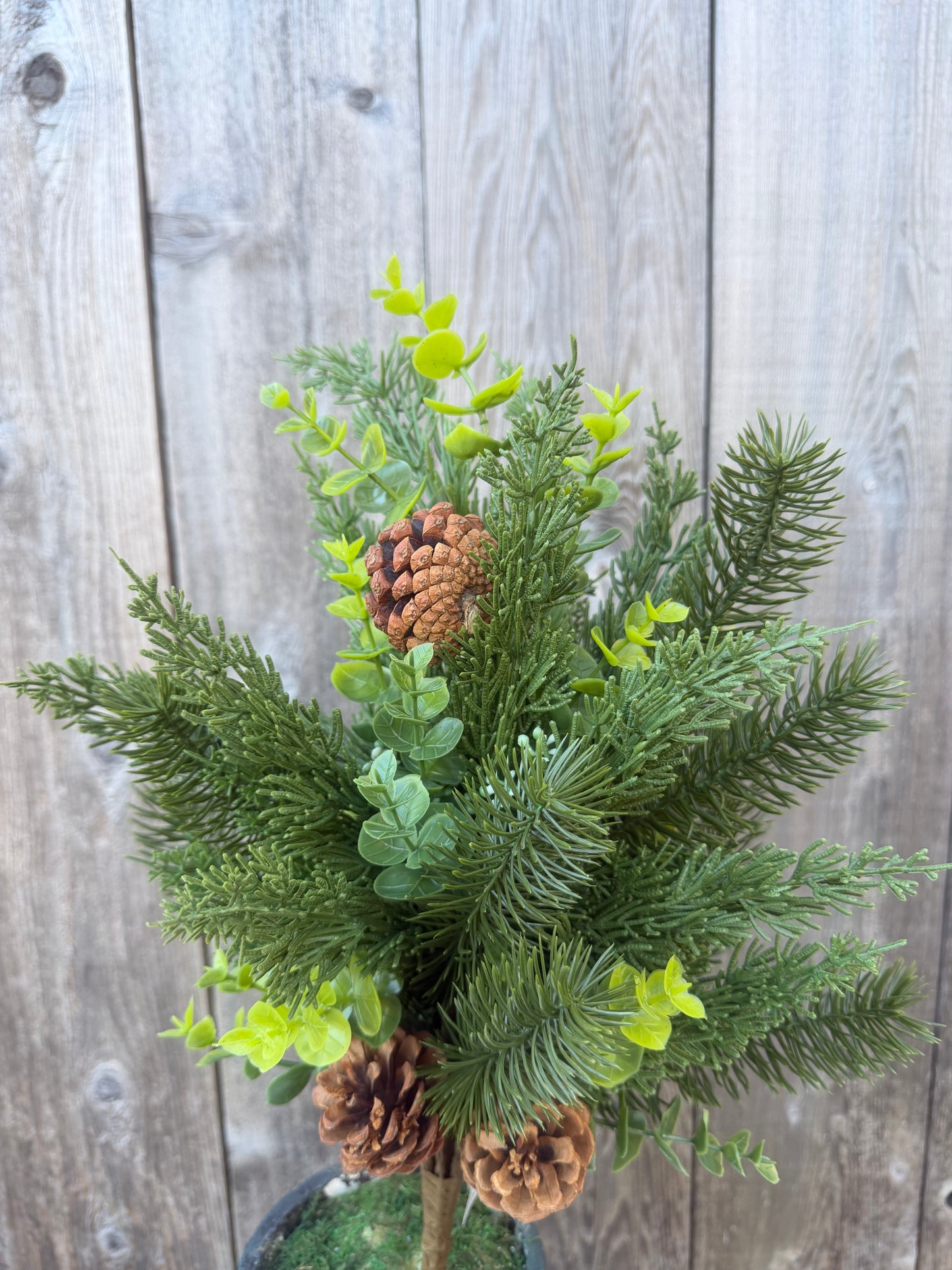 HAND WRAPPED PINE BUSH 85278