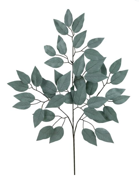 Ficus Spray-SAGE FG633733