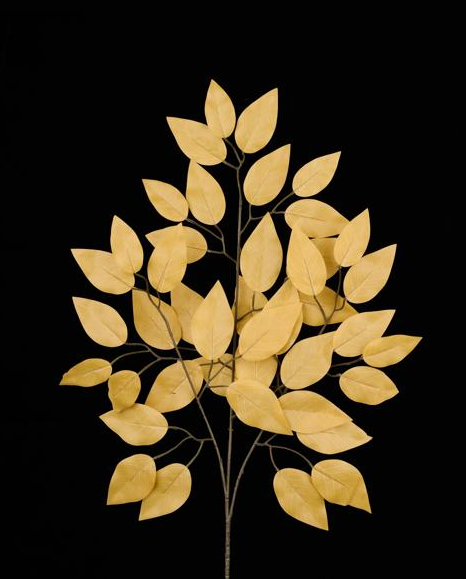 Ficus Spray-ANTIQUE GOLD FG633736