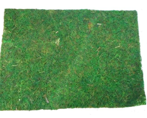 FLAT MOSS BQ521