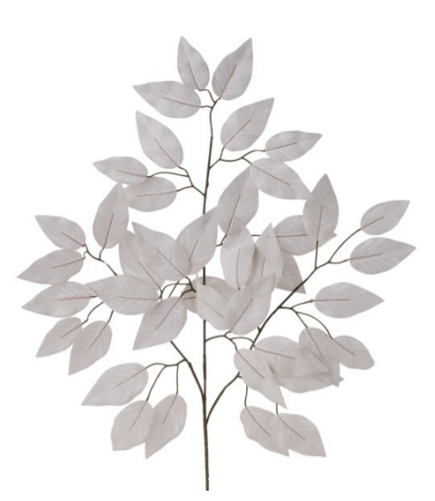 FICUS SPRAY (Bundle 6 ) FG633710