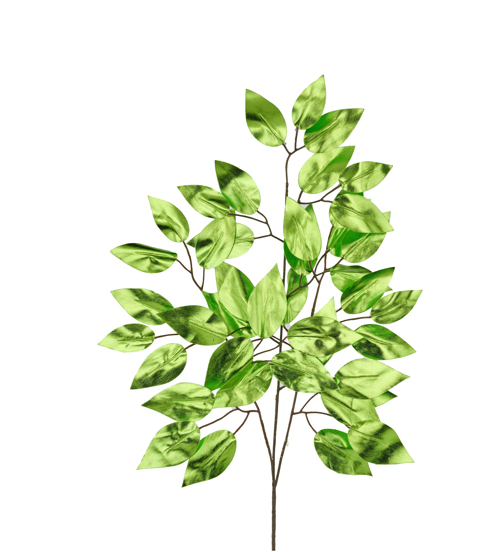 METALLIC FICUS SPRAY XS244439