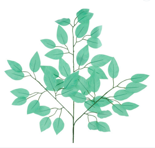 FICUS SPRAY (Bundle 6) FG633741