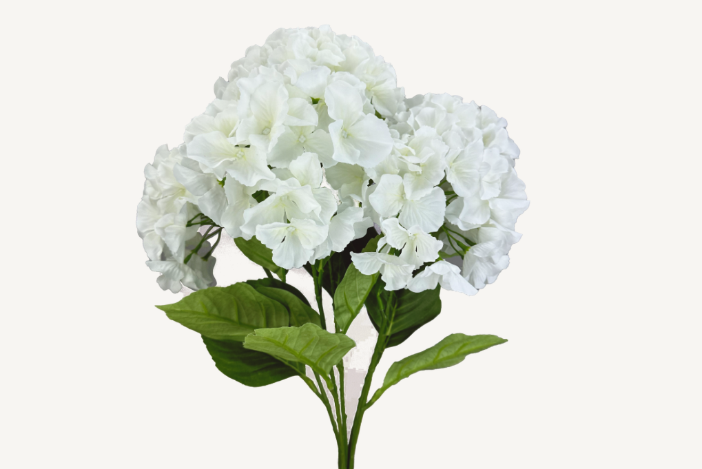 HYDRANGEA BUSH 35147CM