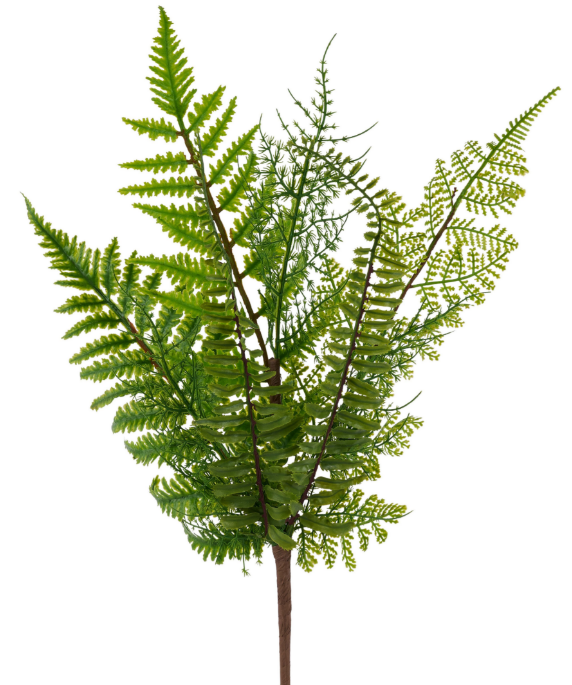 Multi Fern Spray FG685809