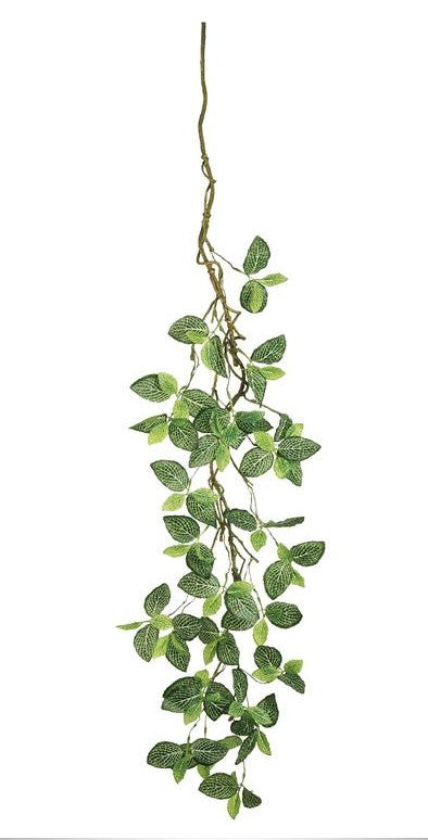 FITTONIA VINE FL6416-GC