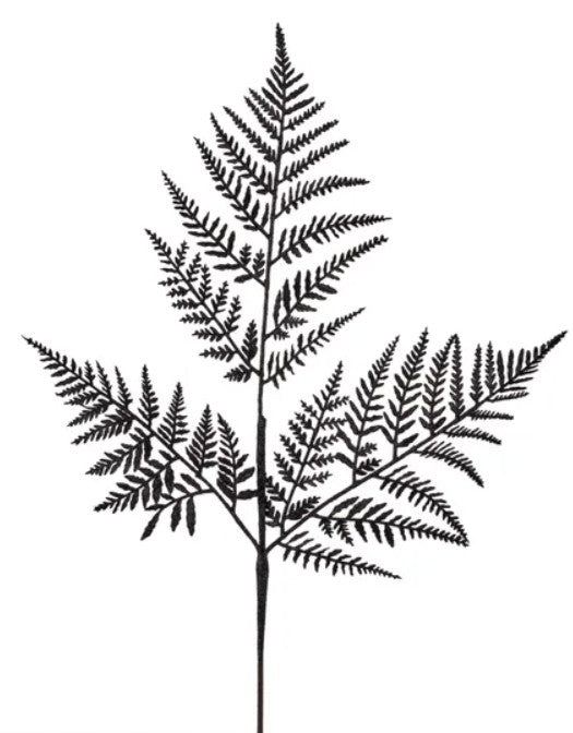 Glitter Fern Leaf Spray XS244102