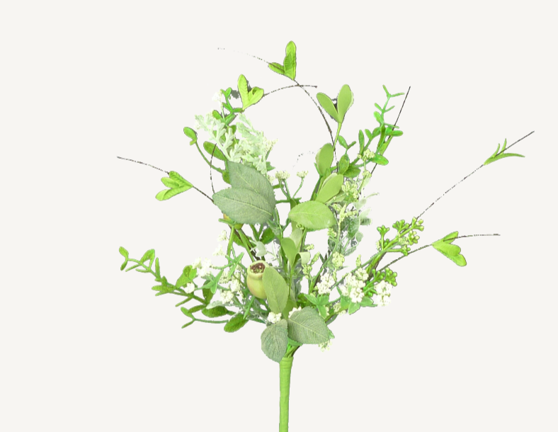 Dusty Miller Pod Mix 62281SP16