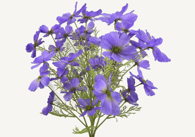 GARDEN COSMO BUSH 63664LV