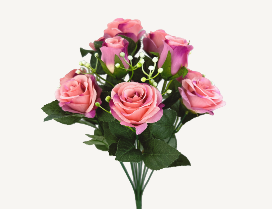 Kery Rose Bush   35146MV