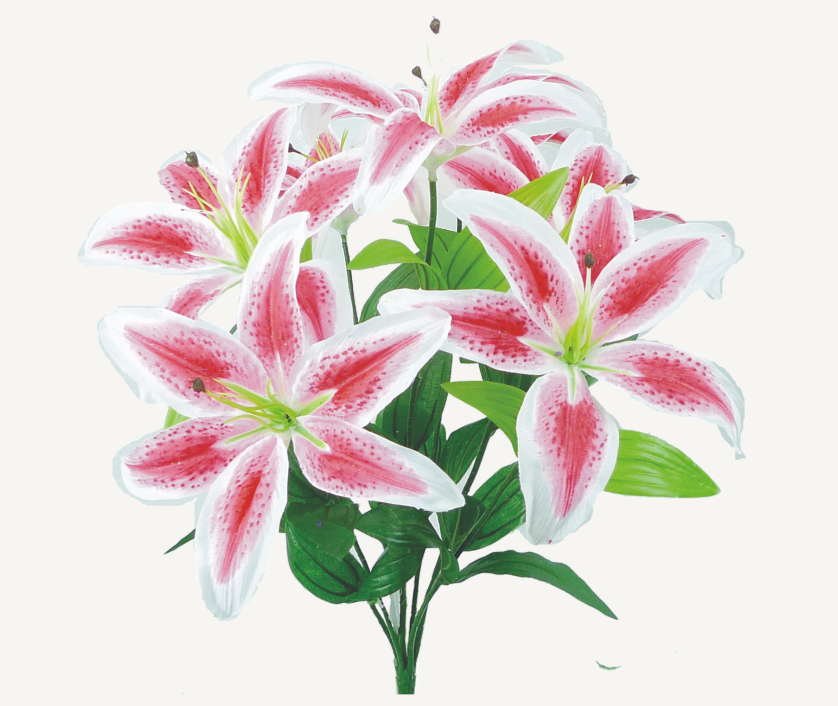 Lily Bush 35022RU