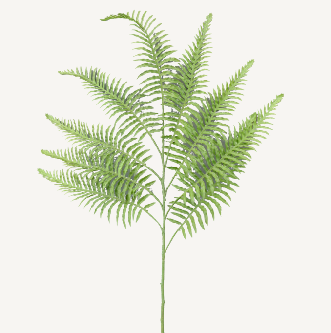 Boston Fern Spray 37L 13406GN