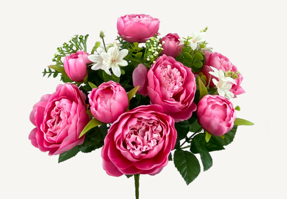 Peony Bush 35123PK