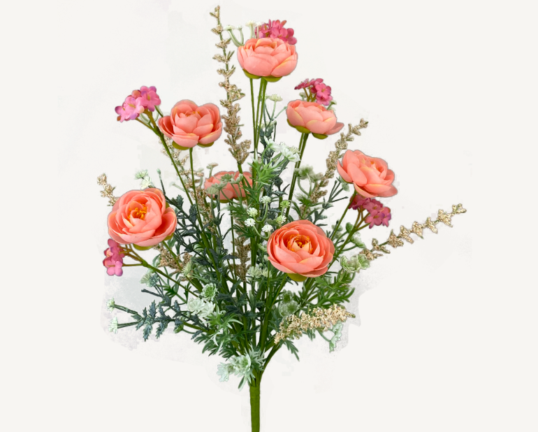 Ranunculus Filler Bush 63101PH