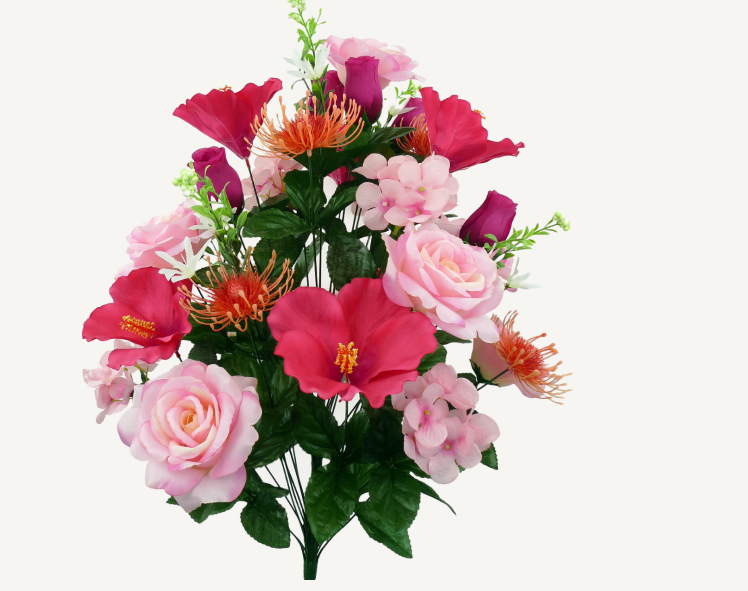 Rose Hibiscus Hydr Bush 35096BTPK