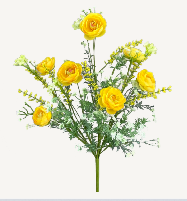 Ranunculus Filler Bush 63101YW