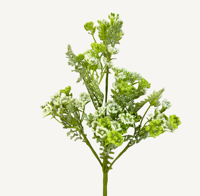 QUEEN ANNE LACE 13620CMGN