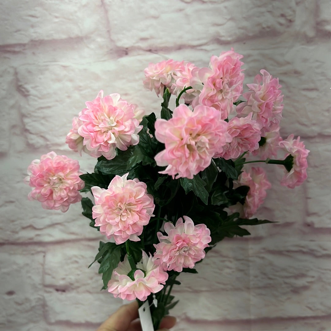 MINI ZINNIA BUSH 82367-PK