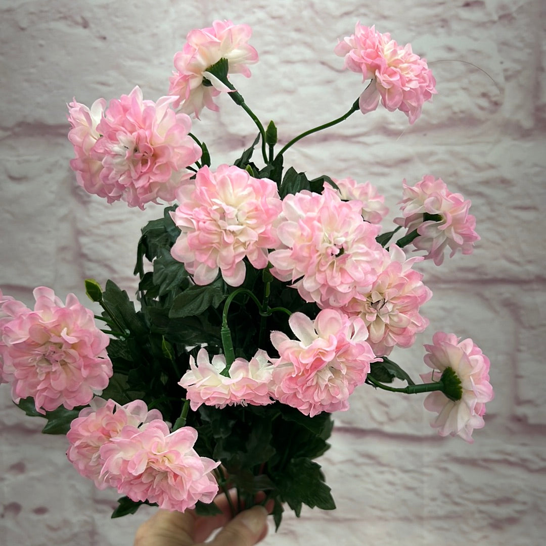 MINI ZINNIA BUSH 82367-PK