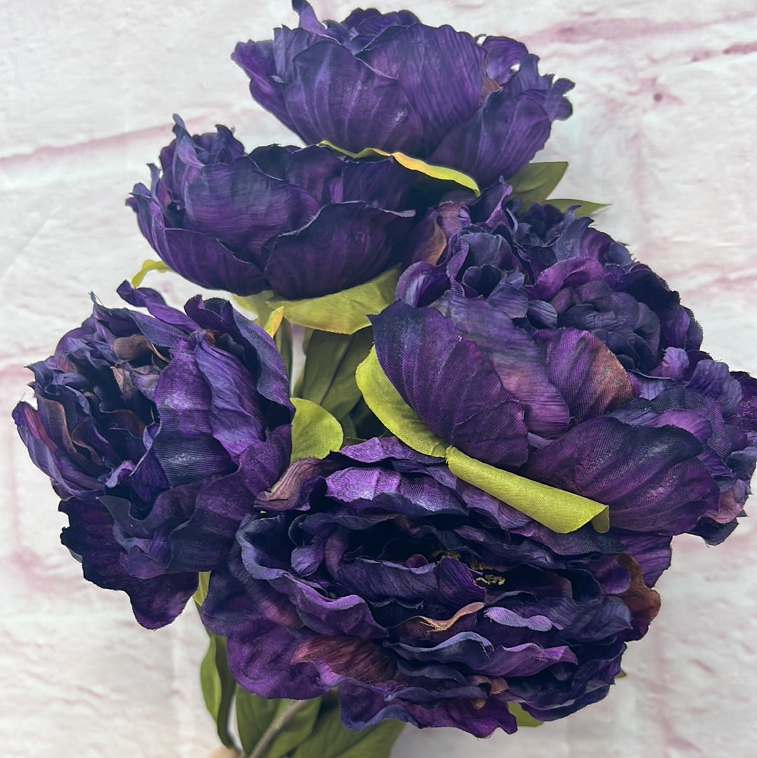 dark purple peonies