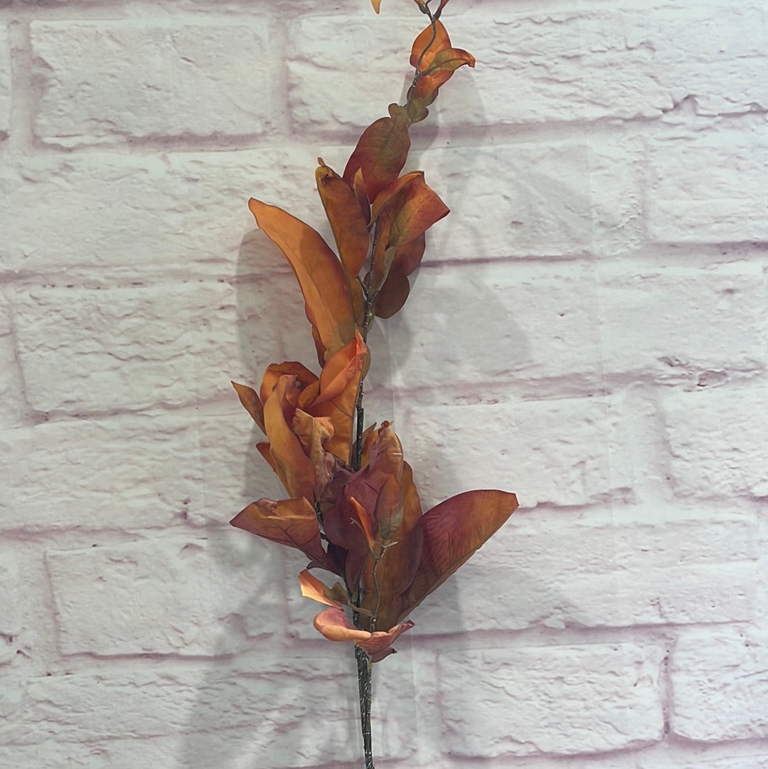 Orange Pomelo Lvs Spray FM220446