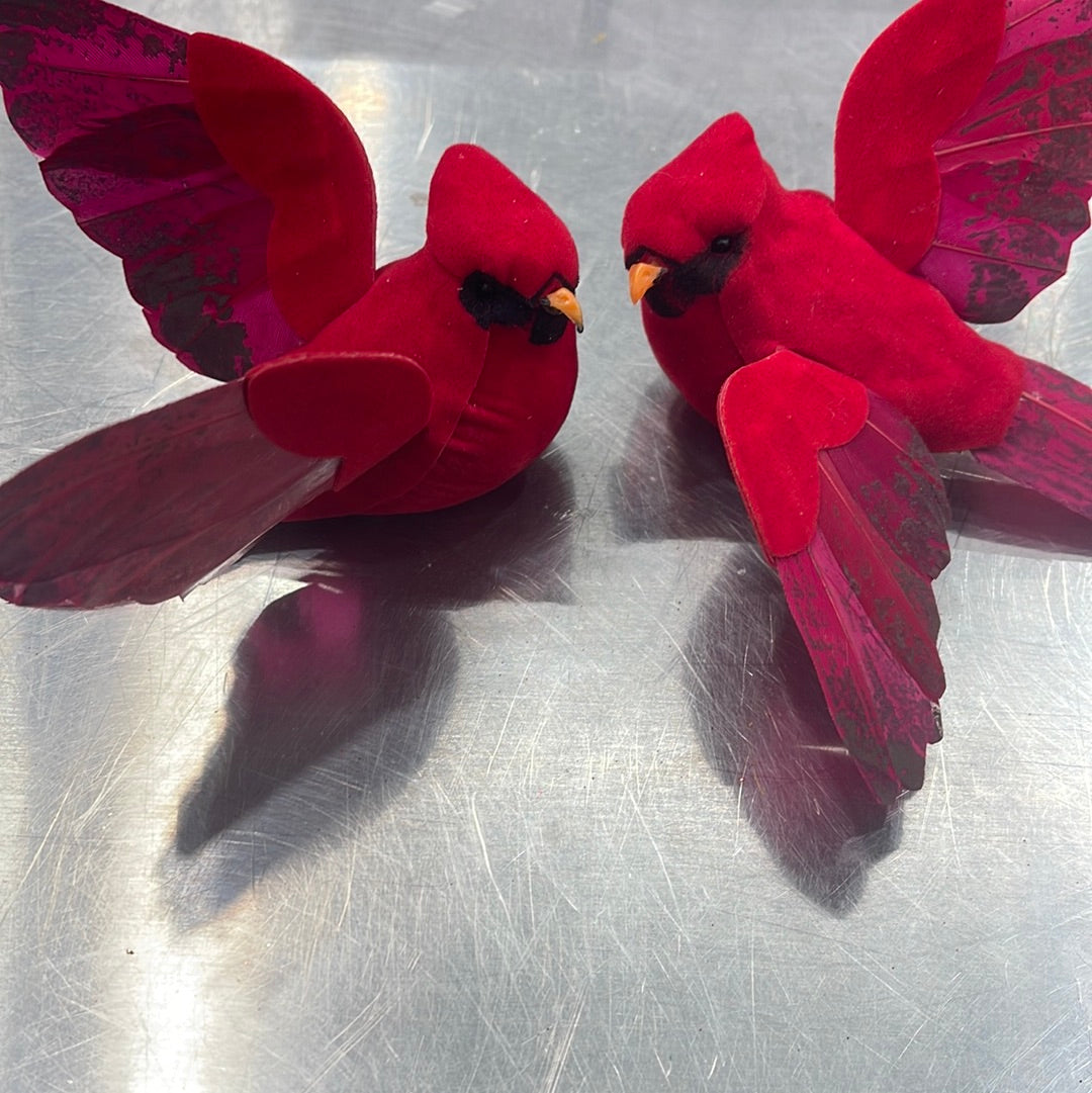 Cardinal W/ Wingspread Dozen D201567