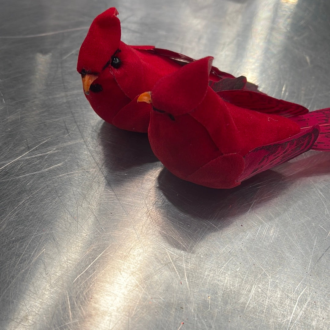 Cardinal Dozen D99309