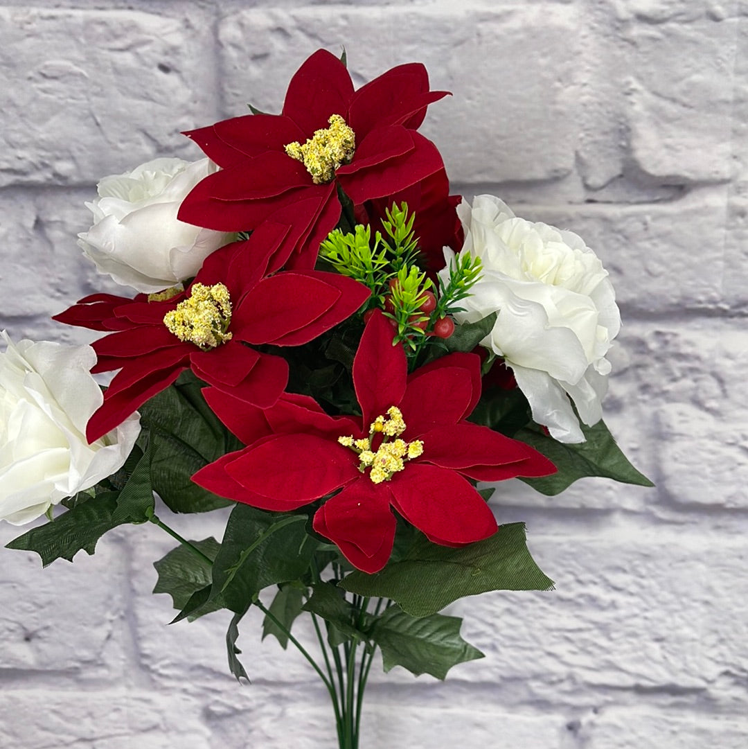 POINSETTIA ROSE BUSH 80535