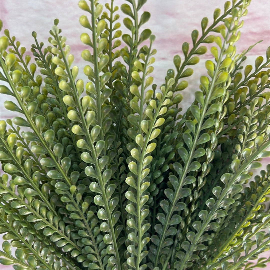 PLASTIC BUTTON FERN 83531