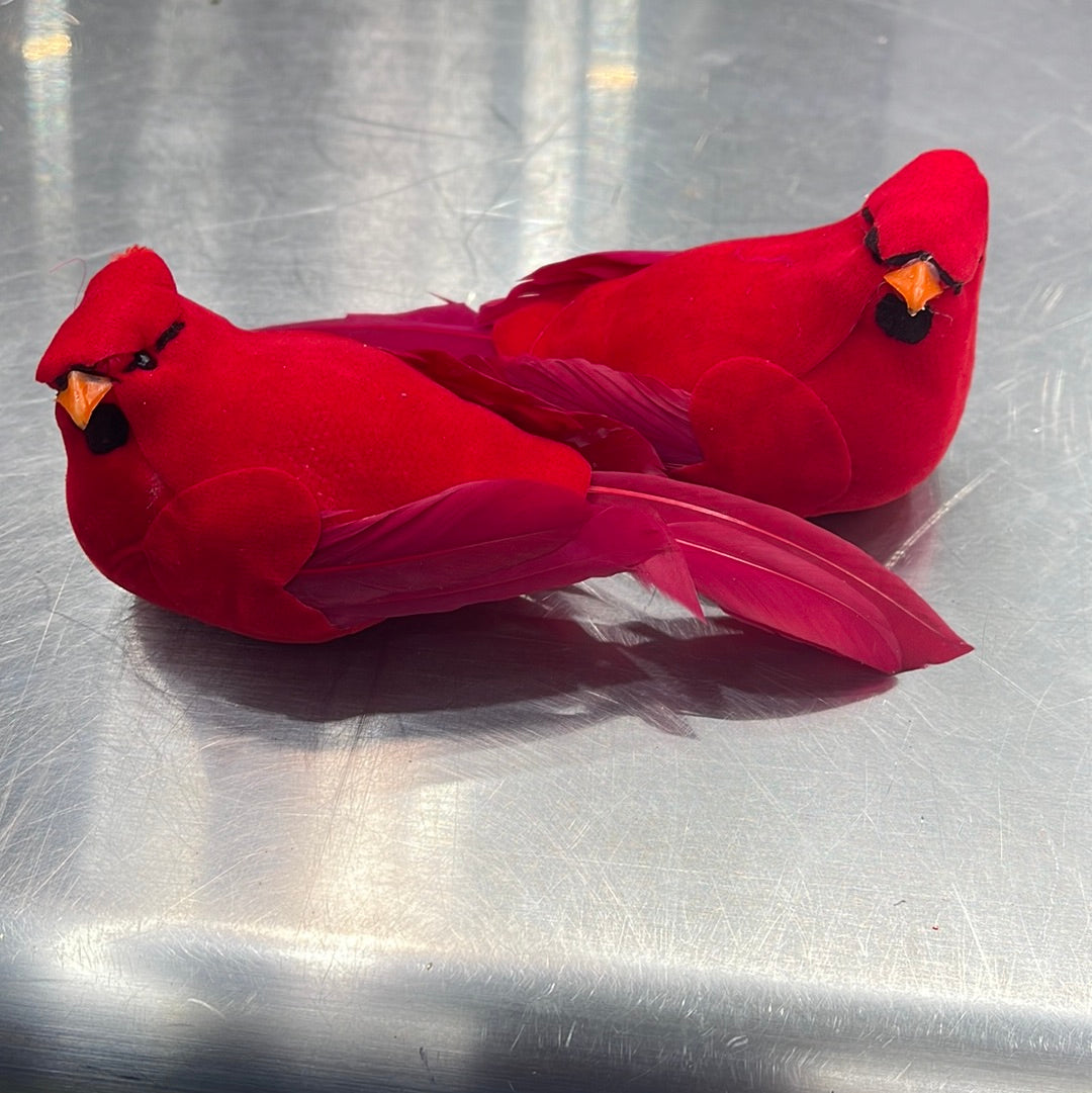 Cardinal 1 Dozen Box D201114