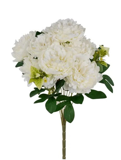 Peony/ Leaf FN171527