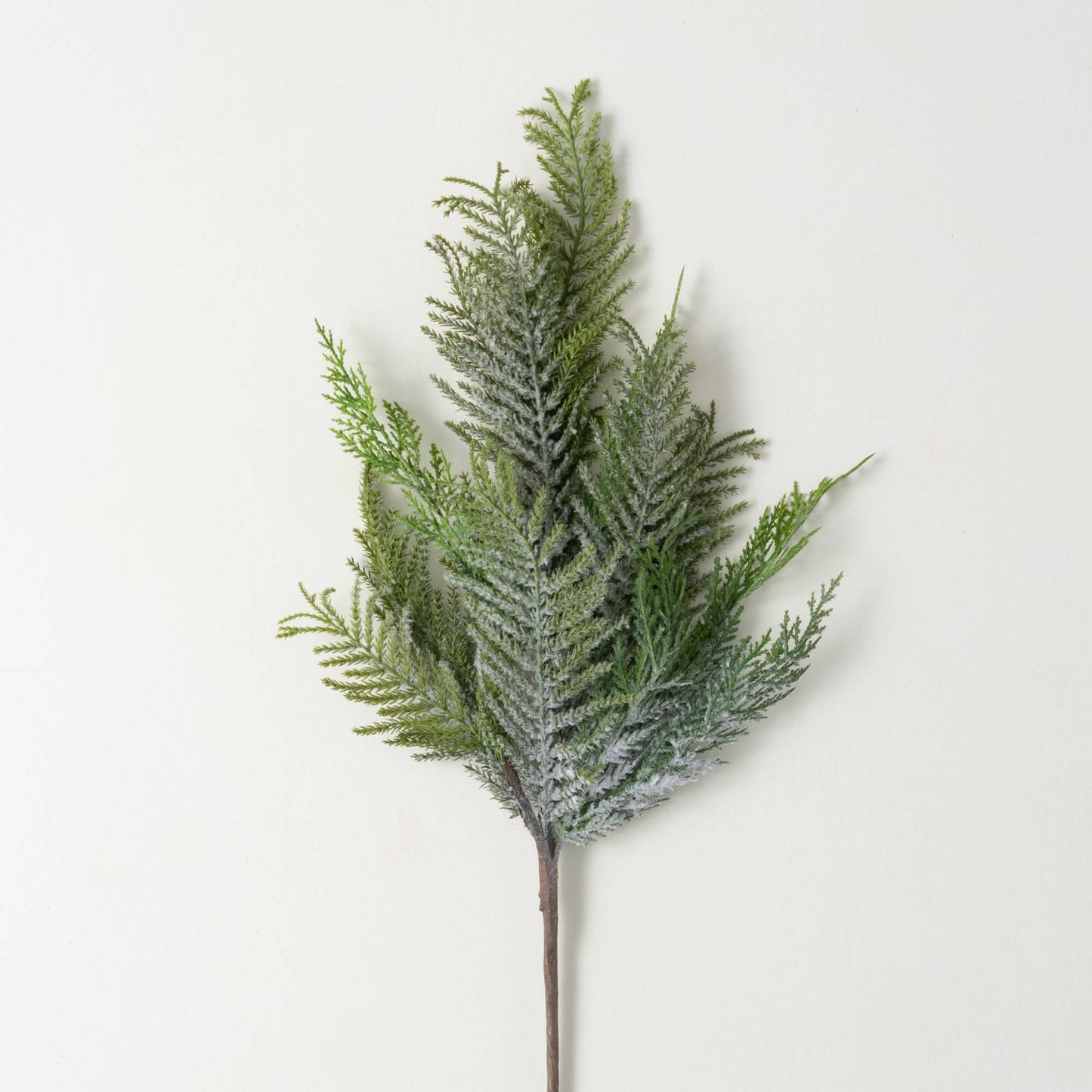 NORFOLK ISLAND CEDAR SPRAY SP1281