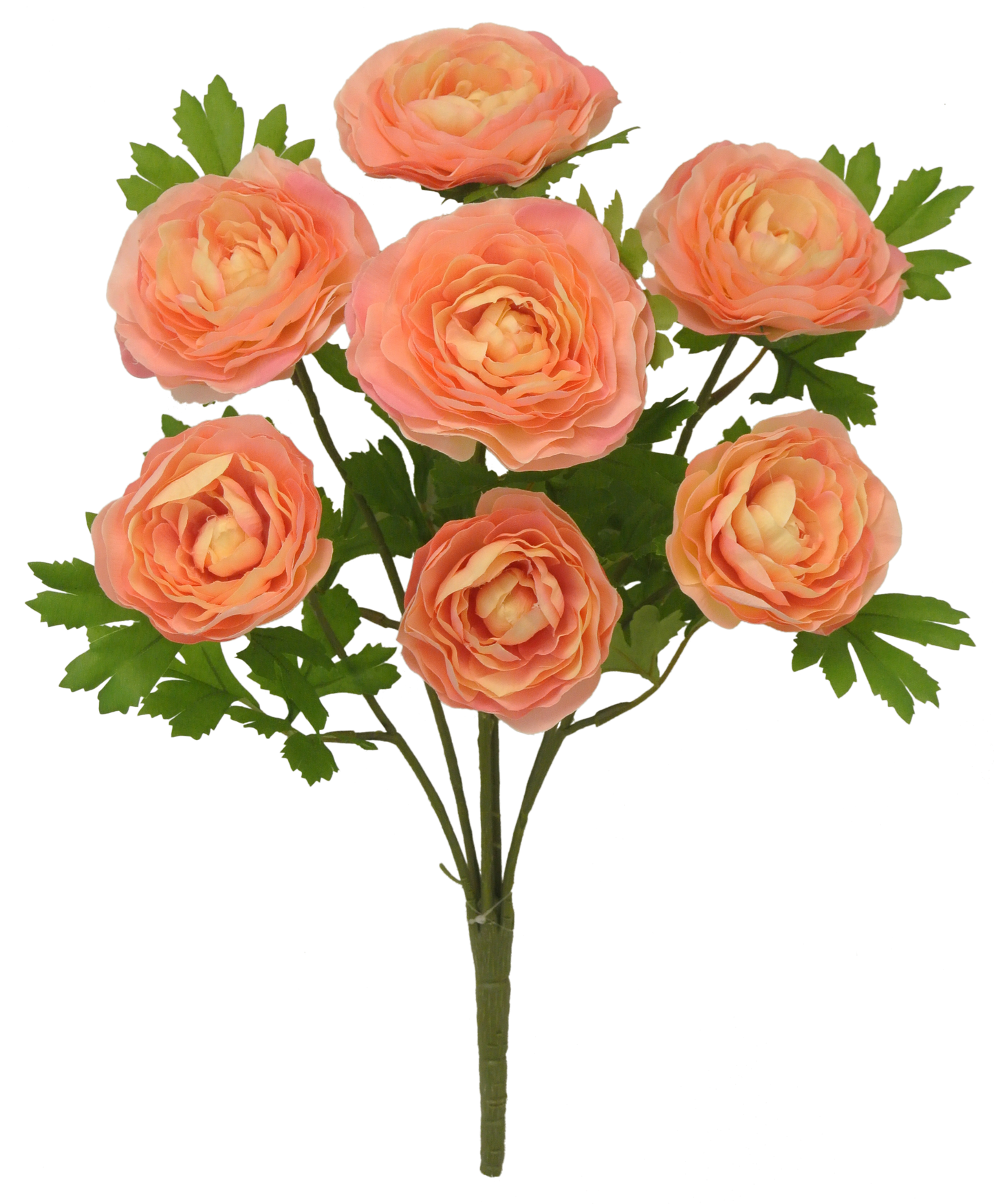 RANUNCULUS BUSH 81069-PH