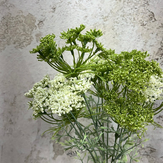 Queen Anne's Lace Bundle  6198CG