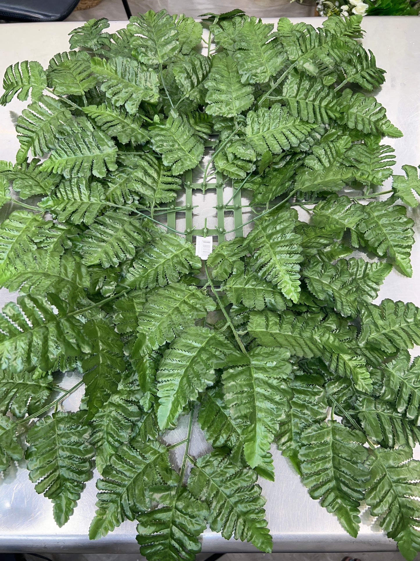 LEATHER FERN BASE   29501