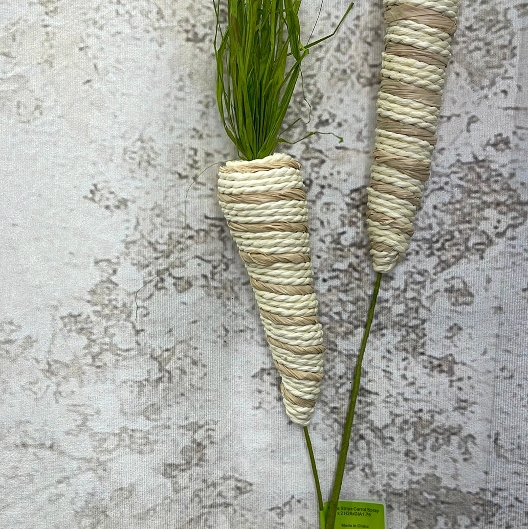 Twine Stripe Carrot Spray x 2     63342NAT