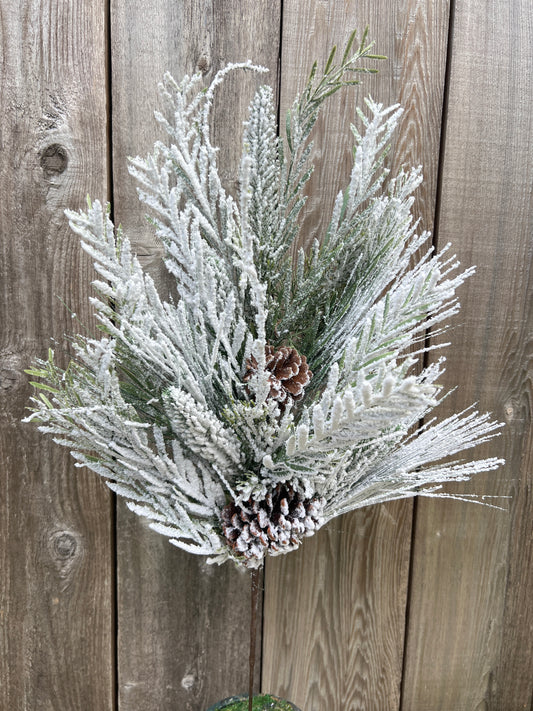 MIXED PINE PINECONE   85162